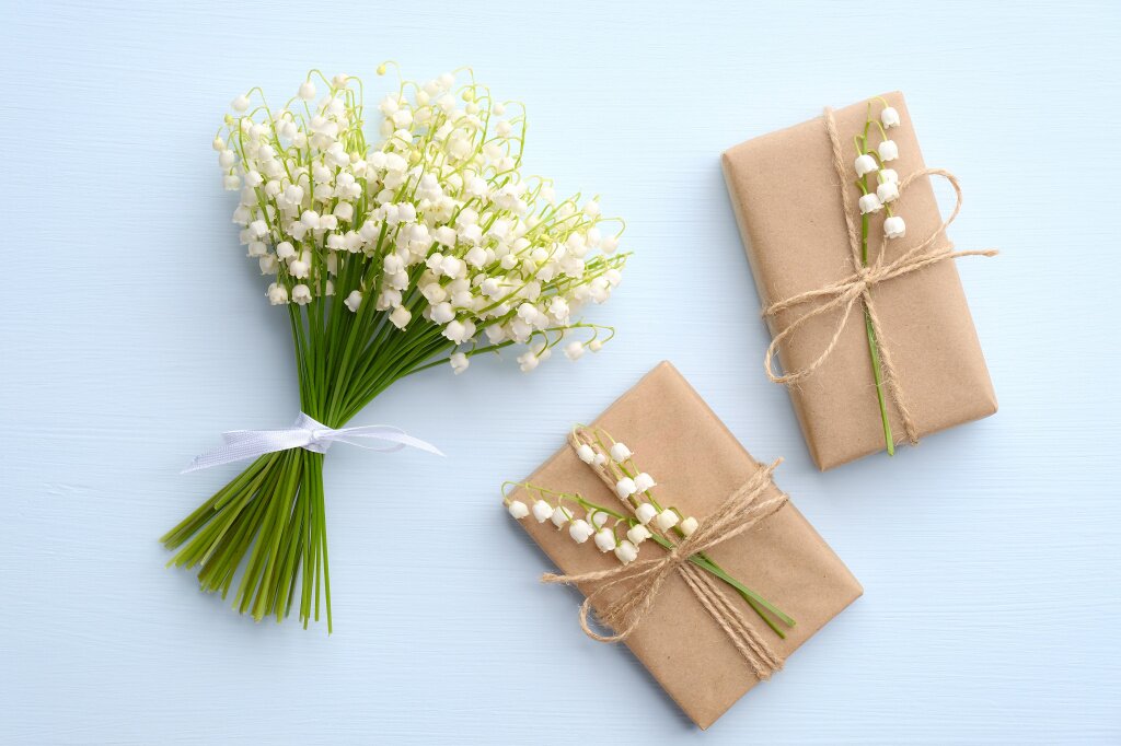подарки high-angle-view-flowering-plant-table.jpg