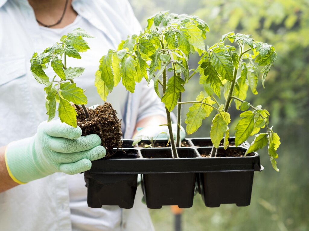 woman-holding-some-flowerpots.jpg