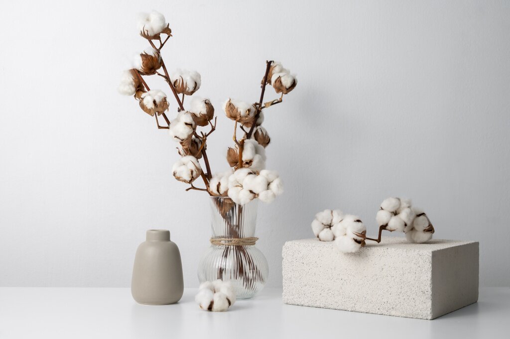 цветы fluffy-cotton-plant-vase-used-interior-decor.jpg