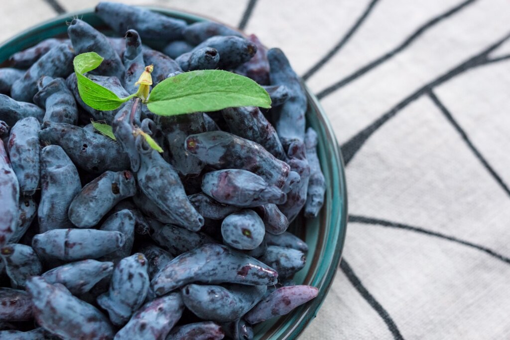 letnie-frukty-natural-nye-organiceskie-zdorovye-ekologiceski-cistye.jpg