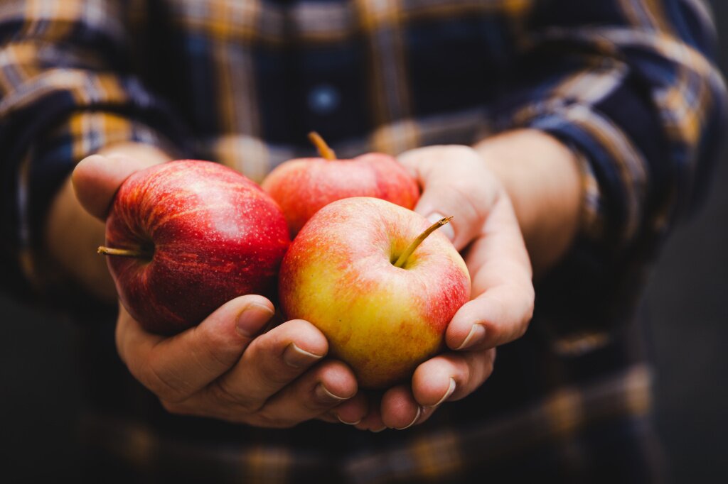 Чем полезны сушеные яблоки