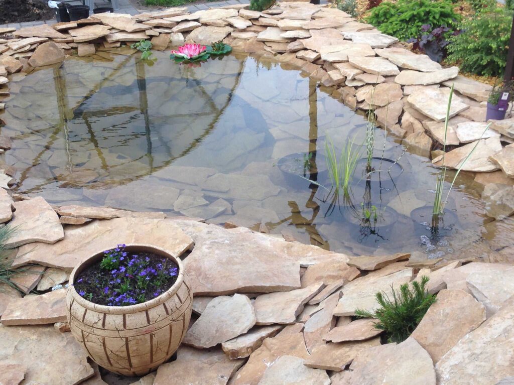 Искусственный пруд на садовом участке: как сделать и декорировать