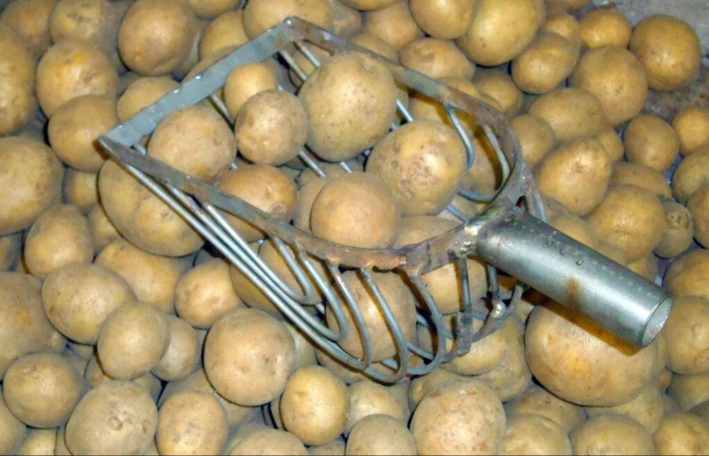 Как утеплить место хранение картошки?