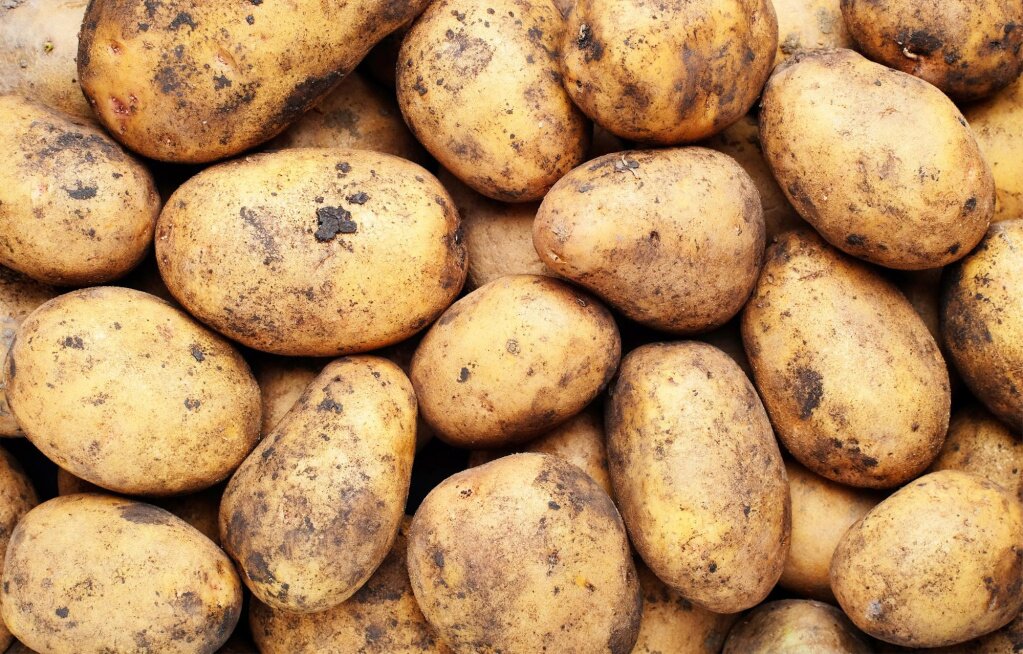 Простейшие хранилища для картофеля и овощей