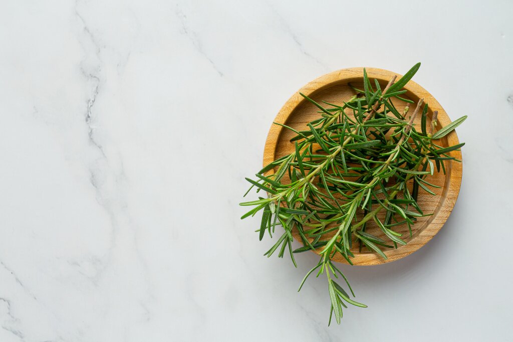 rosemary-plants-place-white-marble-floor.jpg