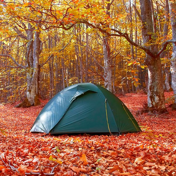 Палатки для каких сезонов предназначены?