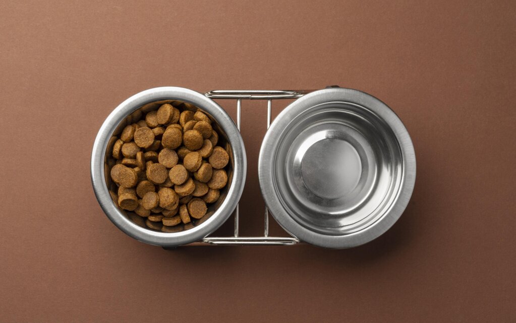 pet-accessories-still-life-with-set-food-bowls-dry-food-water.jpg