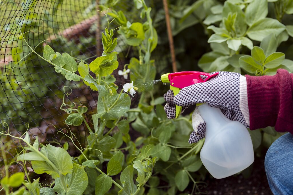 опрыскиватель close-up-man-with-gardening-gloves-spraying-plants.jpg