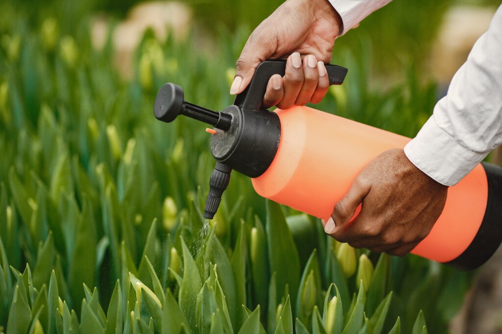 опрыскивание african-gardener-guy-gardener-with-watering-can-flower-beds.jpg