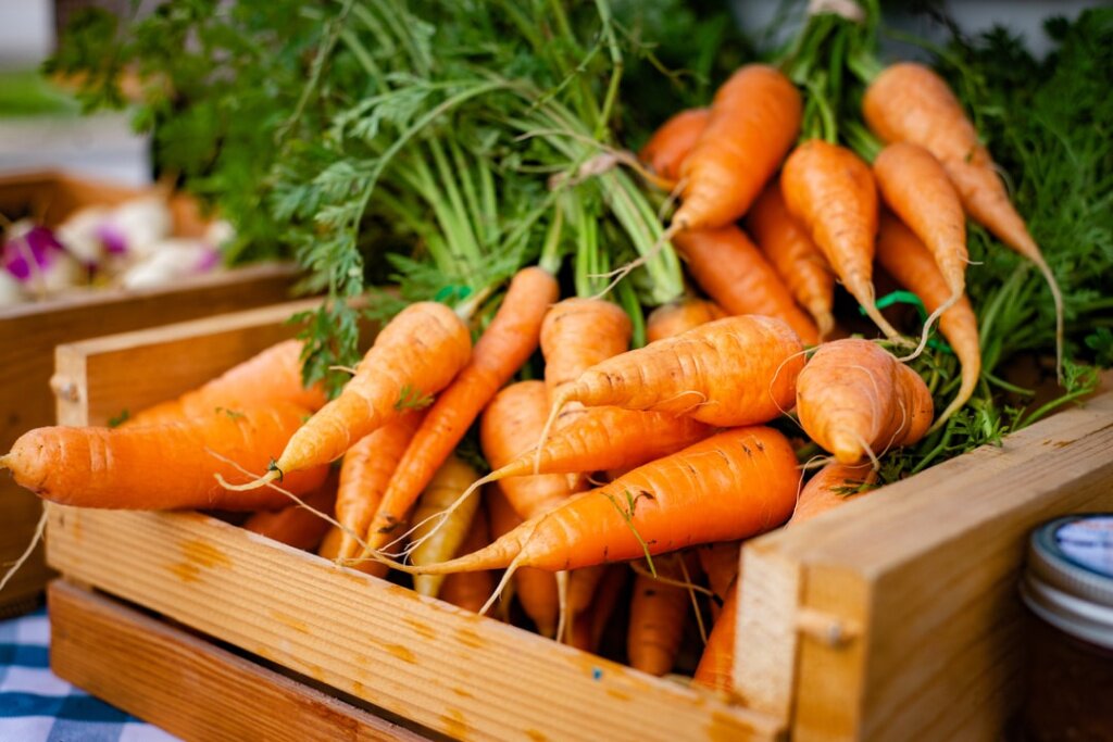 Как хранить морковь после сбора урожая?