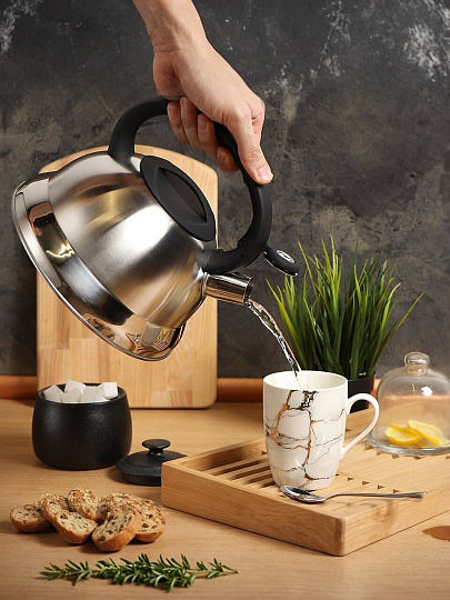 Чайник нержавеющая сталь, 2.8 л, со свистком, матовый, ручка с силиконовым покрытием, Daniks, MSY-013