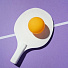 Мяч для пинг-понга, 6 шт, в блистере, Ecos, PPB-6B, 323118 - фото 3