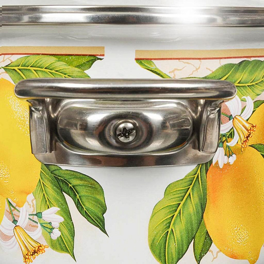 Кастрюля эмалированная сталь, 4 л, крышка стекло, Vitross, Limon, индукция