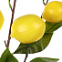 Цветок искусственный декоративный Лимон, 95 см, Y4-7965 - фото 2