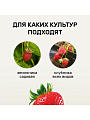 Удобрение Биомолекулы, для клубники, 400 мл, Удобряй! - фото 2