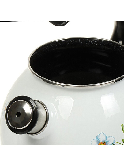 Чайник сталь, эмалированное покрытие, 3 л, со свистком, с пластиковой кнопкой, рисунок в ассортименте, Сибирские товары, индукция, С2717.3