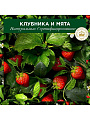 Бальзам-ополаскиватель для всех типов волос, Herbal Essences, Белая клубника и Сладкая мята, 275 мл - фото 2