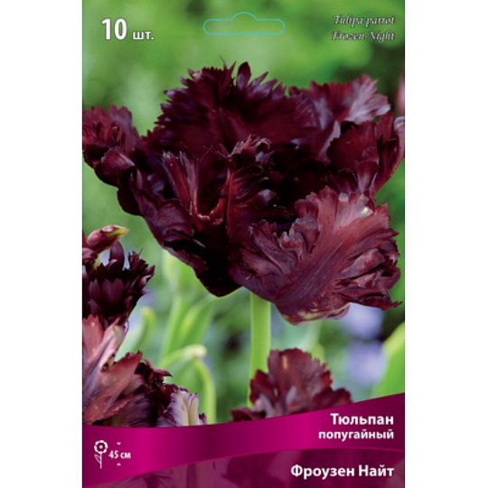 Луковицы Тюльпан попугайный, Фроузен Найт, 11-12/К, 10 шт