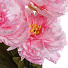 Цветок искусственный декоративный Пионы букет, 42 см, розовый, Y4-7913 - фото 2