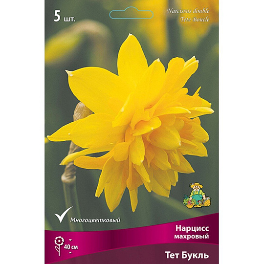 Луковицы Нарцисс махровый, Тет Букль, 12-14/К, 5 шт
