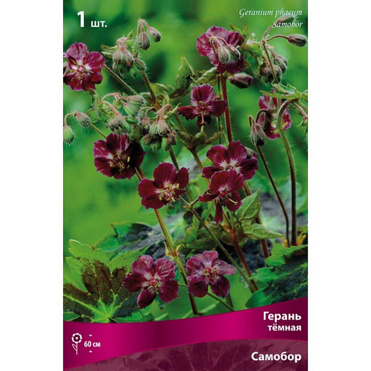 Корневище Герань, Самобор, темная