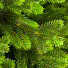 Елка новогодняя напольная, 150 см, Мисхор, ель, зеленая, хвоя литая, 136150, ЕлкиТорг - фото 2