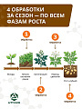 Набор для баковой смеси Комбисет Картофель, от вредителей и болезней картофеля, 3в1 шт, Агрусхим - фото 5