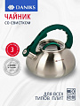 Чайник нержавеющая сталь, 3 л, со свистком, матовый, ручка с силиконовым покрытием, Daniks, индукция, изумрудный, DSC-8805