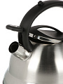 Чайник нержавеющая сталь, 2.8 л, со свистком, матовый, ручка с силиконовым покрытием, Daniks, MSY-013 - фото 9