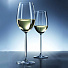 Бокал для вина, 300 мл, хрустальное стекло, 6 шт, Schott Zwiesel, Diva, 104 097-6 - фото 3
