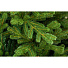 Елка новогодняя напольная, 210 см, Ванкувер, ель, зеленая, хвоя литая + ПВХ пленка, 147210, ЕлкиТорг - фото 3