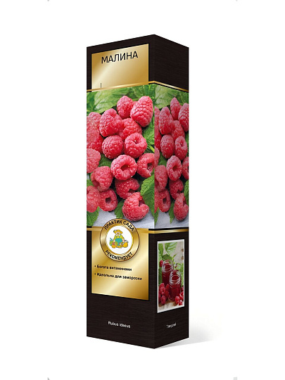 Саженцы Малина, Красная королева, перспективные сорта, 752888