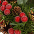 Подсвечник 1 свеча, 24 см, с ягодами, для свечи до 8.5 см, SYSGZSA-4623013 - фото 2