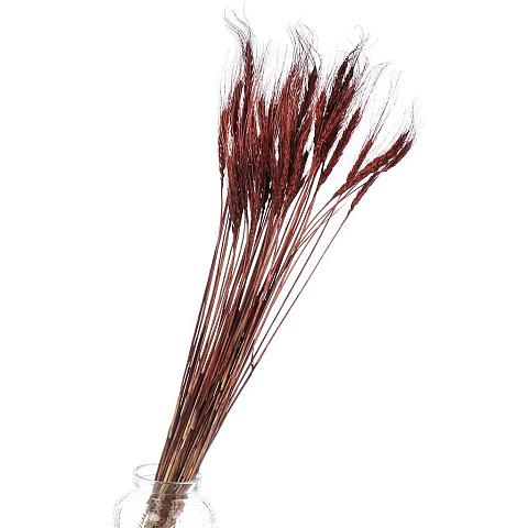 Цветок искусственный декоративный Колосья, 70 см, коричневый, Y6-10403