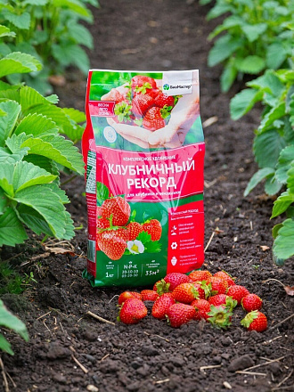 Удобрение Клубничный рекорд, комплексное, 1 кг, БиоМастер