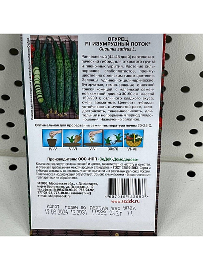 Семена Огурец, Изумрудный поток F1, цветная упаковка, Седек