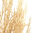 Цветок декоративный Тинги Композиция, натуральный сухоцвет, 70 см, Y4-5314 - фото 2