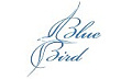 Blue bird
