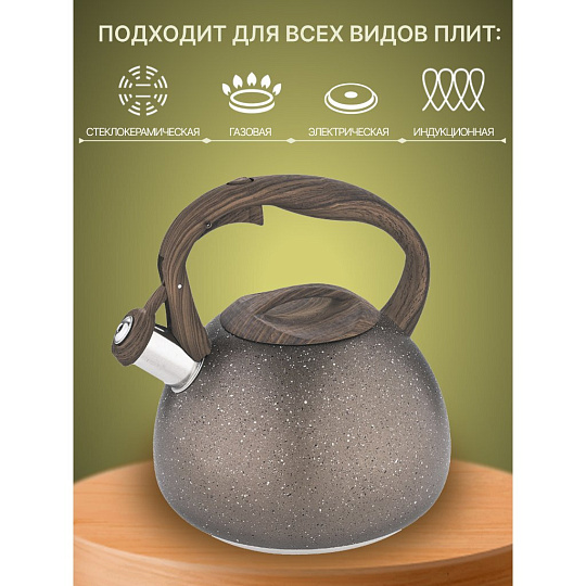 Чайник нержавеющая сталь, 3 л, со свистком, матовый, ручка бакелитовая, Alpenkok, индукция, AK-520