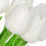 Цветок искусственный декоративный Тюльпан, 7шт., 33 см, белый, Y6-10420 - фото 2