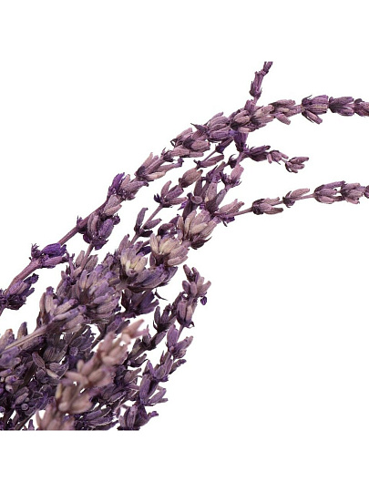 Цветок искусственный декоративный Лаванда, фиолетовый, Y4-5316