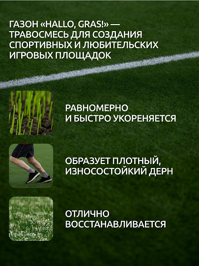 Семена Газон, Sport Meister Gras, 1 кг, мешок, ГазонCity