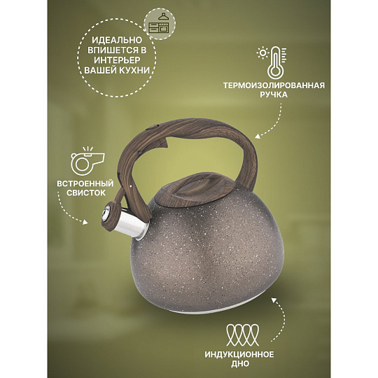 Чайник нержавеющая сталь, 3 л, со свистком, матовый, ручка бакелитовая, Alpenkok, индукция, AK-520