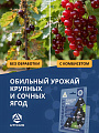 Набор для баковой смеси Комбисет Ягоды, от вредителей и болезней ягод, 3в1 шт, Агрусхим - фото 9