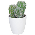 Цветок искусственный декоративный Кактус, в горшке, 13 см, в ассортименте, Y6-2071