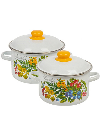 Набор посуды эмалированная сталь, 2 предмета, кастрюли 3,4 л, индукция, СтальЭмаль, №43 Лесная мелодия, 1KB431M, белый