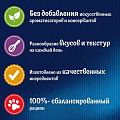 Корм для животных Феликс, Sansations, 75 г, для взрослых кошек, кусочки в желе, курица и морковь, пауч, 12512747 - фото 5
