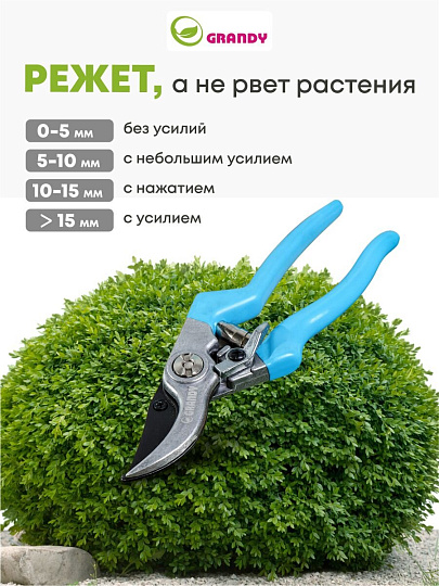 Секатор 200 мм, диаметр реза 20 мм, прямого реза, Grandy, рукоятка резина