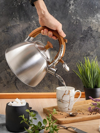 Чайник нержавеющая сталь, 3 л, со свистком, матовый, ручка бакелитовая, Daniks, MSY-069