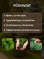 Удобрение для хвойных, с микроэлементами, 2.5 кг, Agros - фото 4